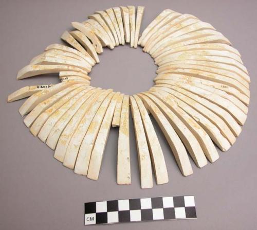 Necklace of casts of carved shells