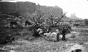 Crew at Camp -- Monument Valley