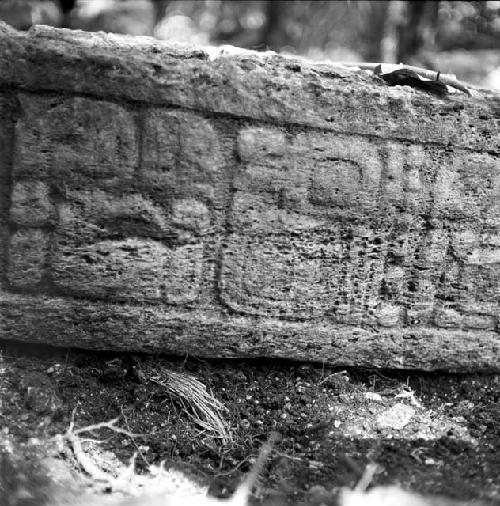 Detail of Stela 2 at Machaquila