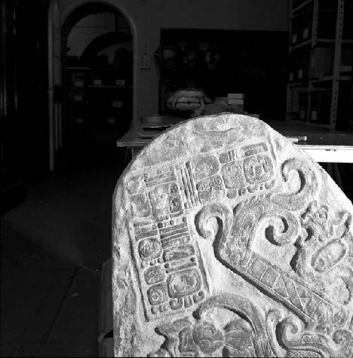 Detail of cast of Stela 7 from Machaquila