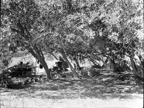 Camp Scene Showing Shelter, Stove, and Table