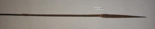 Spear - wooden shaft with reed toggle for throwing and broad grooved +