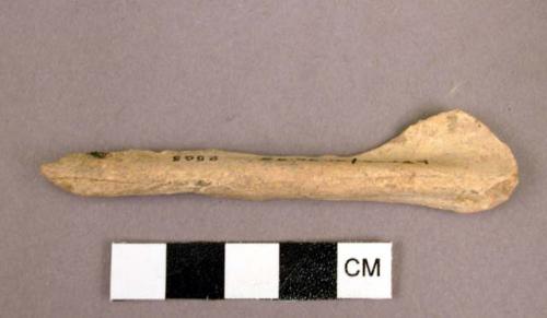 Tip of bone awl