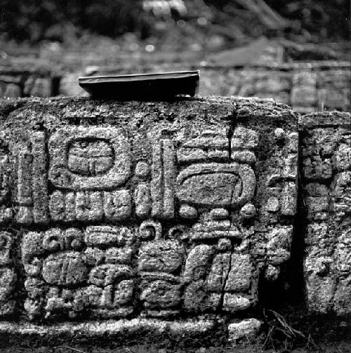 Hieroglyphic step at Tamarindito