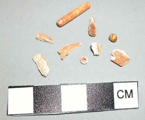 Worked bone fragment