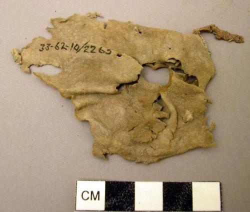 Buckskin fragment