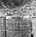 Hieroglyphic stones at Uxmal