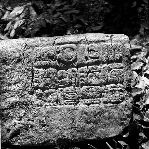 Stone of Hieroglyphic Steps at La Amelia