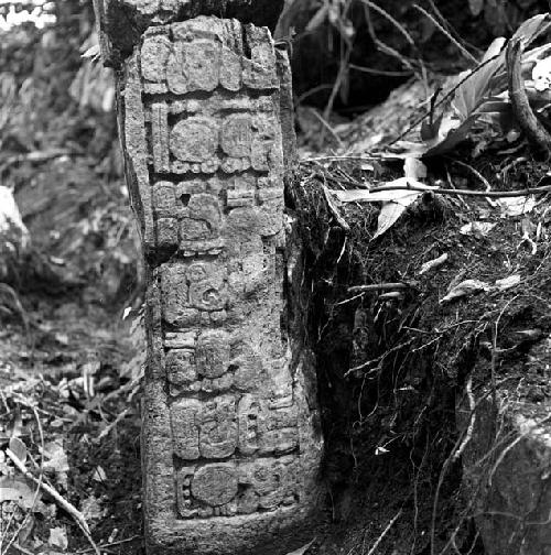 Stela at Tamarindito