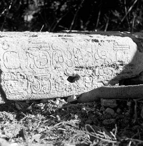 Stela 1 at Naranjo with glyphs inked in