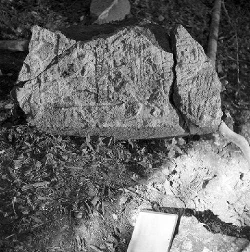 Fragments of Stela 37 at Naranjo