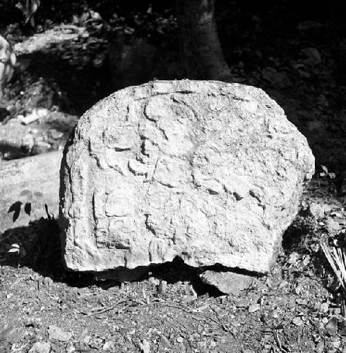 Stela 4 at Naranjo