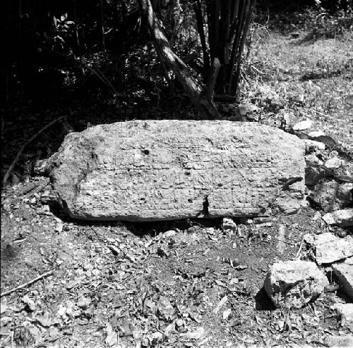 Stela 6 at Naranjo