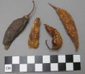 Peppers (Capsicum annum).  About 1000/ AD. Central Coast of Peru