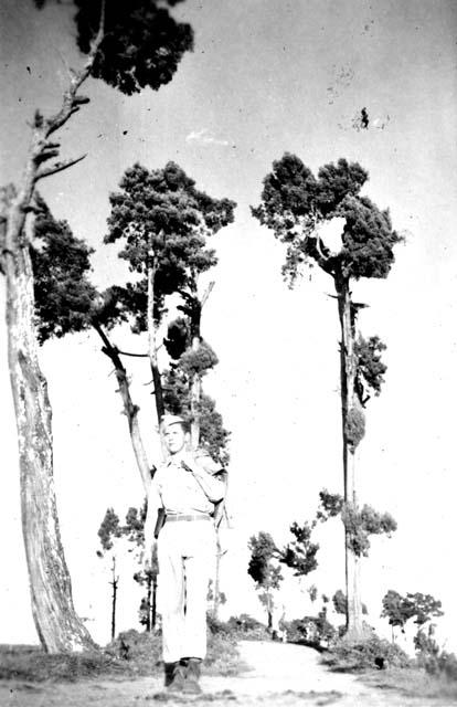 Soldier standing in front of trees