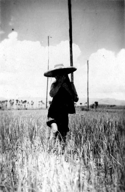 Woman working in field