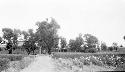 View of garden and trees