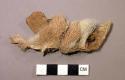 Fragment of deer skin