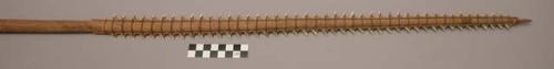 Wooden sword with shark teeth barbs