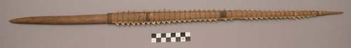 Shark's tooth spear - probably part of long spear