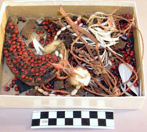 Fragments of sculpture, grey and red seeds, resin, fiber, feathers, fur, claw?