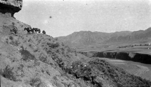 People with donkey and ponies walking in mountains