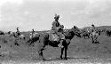 People riding ponies in the desert