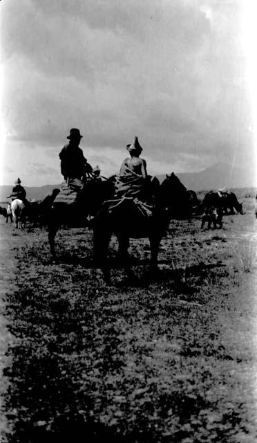 People riding ponies in the desert