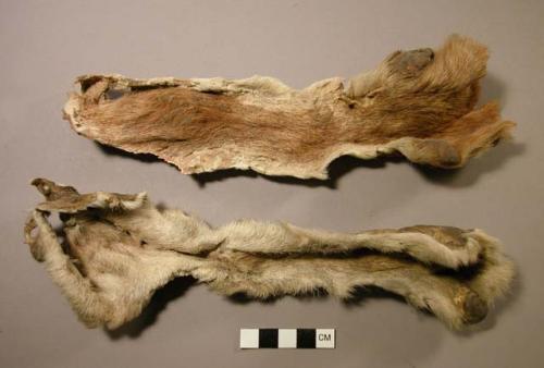 Deer hide legs