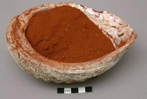 Cup made of the shell of the haliotis