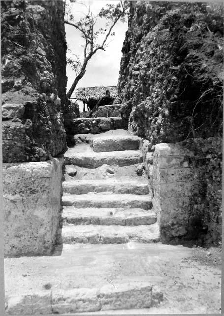 Mound 2 - Trench A, progress