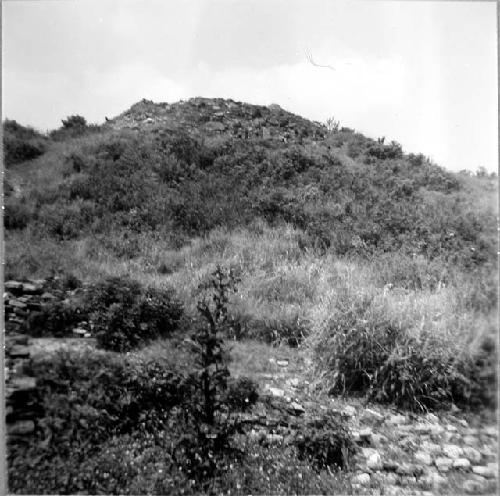 The Building of the Columns from Tajin Chico