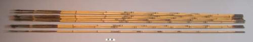 Hunting arrows - bamboo shafts, palm wood points, barbed and bound +