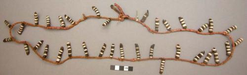 Necklace of shell and cocoa-nut shell beads