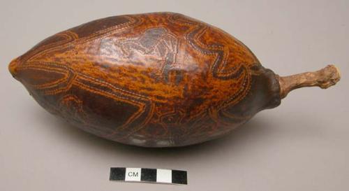 Gourds from baoab tree