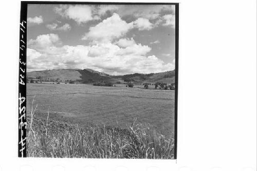 360 [degree] panorama of Main Group of ruins and outlying mounds, from top of Mo