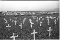 Cemetary with white crosses for gravemarkers