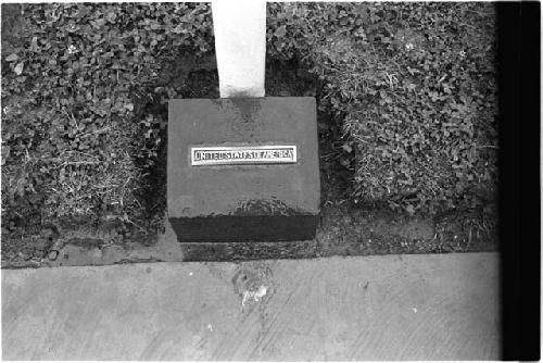 Stone with United States of America written on it