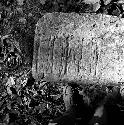 Stone of Hieroglyphic Steps at La Amelia