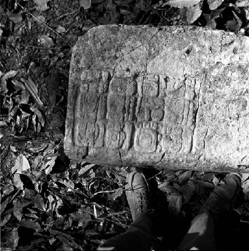 Stone of Hieroglyphic Steps at La Amelia