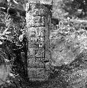 Fragment of stela at Tamarindito