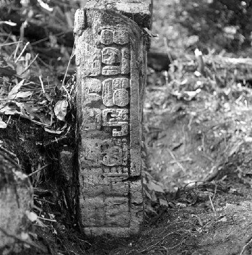 Fragment of stela at Tamarindito