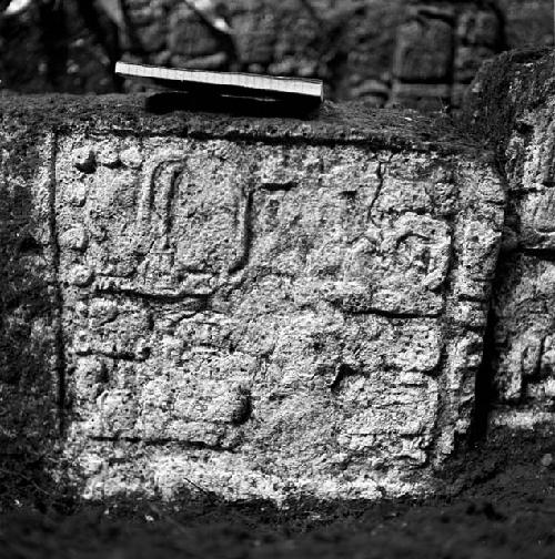 Hieroglyphic steps at Tamarindito