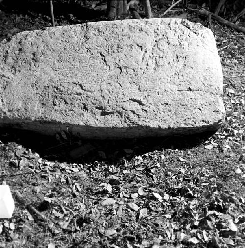 Stela 12 at Naranjo