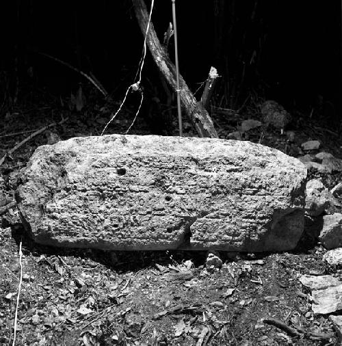 Stela 6 at Naranjo