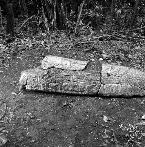 Stela 35 at Naranjo