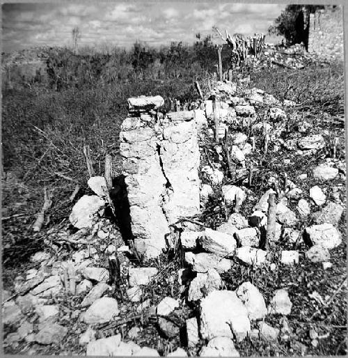 Entrance & stairway in south wall of atrio, west side, Casa 2 in background