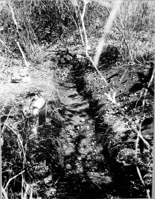 Str. 5, trench 7, looking N.