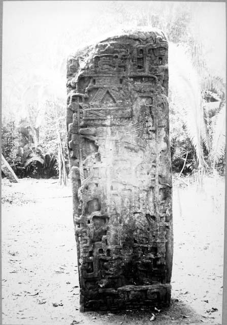 Stela A, rear view after cleaning
