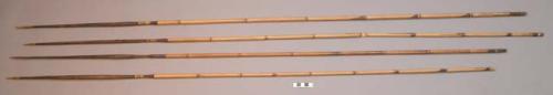 Hunting arrows - bamboo shafts; plain palm wood points bound at bases +